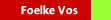 Foelke Vos